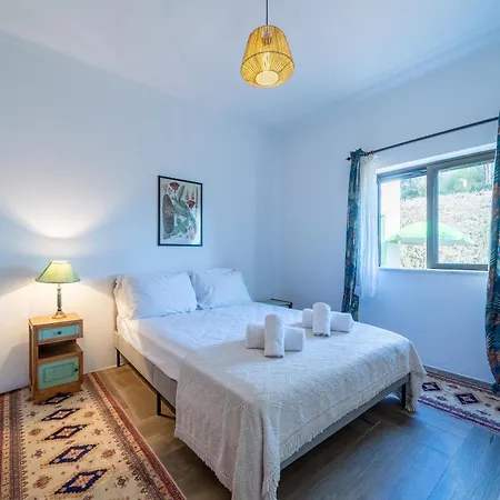 Casa Pinhas Σπίτι διακοπών